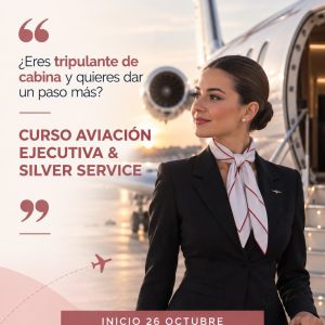 curso aviación ejecutiva homologado